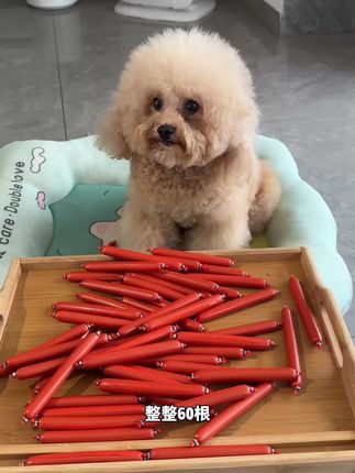 吗呀,简直了,我家四个宝贝看到眼睛简直了,看着都流口水,抢着吃#毛孩子的日常 #萌宠出道计划