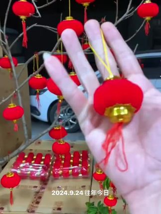 #红色小灯笼 #植绒小灯笼 #小灯笼 #喜庆小灯笼 #灯笼挂起来
