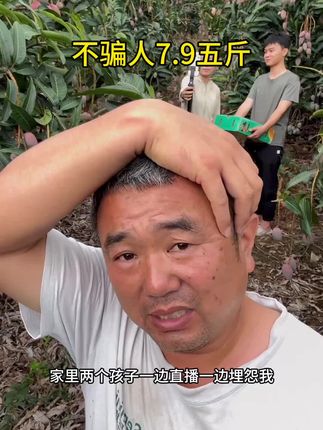 #芒果#贵妃芒果