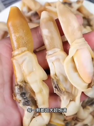 渔民自晒淡干无沙蛏子干海蛏干海蛏子蛏干竹蛏干蛏子肉海鲜干货
