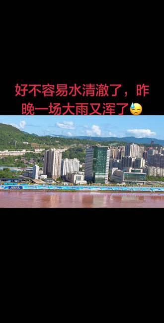 好不容易水清澈了,昨晚一场大雨又浑了