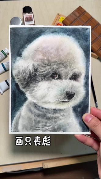 大哥出场,通通闪开#绘画教程 #手绘动物 #水彩动物 #泰迪