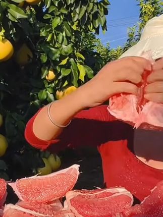 红柚福建平和琯溪红心蜜柚当季超甜多汁新鲜水果柚子#甜而不腻#香软多汁#柚子