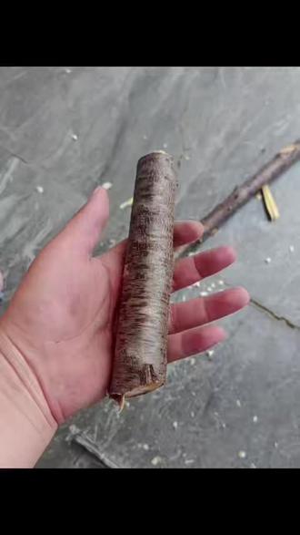 “三月桃木,百鬼不侵”不求它能斩妖除魔,只愿能保佑我的宝宝,岁岁平安,夜夜好眠