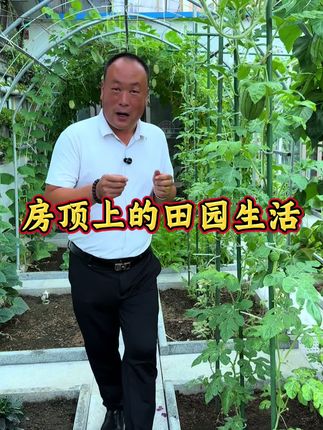又到了栽韭菜根的最佳季节了 #记录我的小菜园 #创作者中心 #创作灵感 又到了栽韭菜根的最佳季节了,你准备好了吗? #我的小菜园 #韭菜根