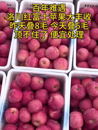 #红富士苹果 脆甜脆甜的红富士苹果来喽,皮薄多汁,清脆爽口,看到你们有没有想吃#应季水果 #脆甜多汁 #苹果 #好吃到停不下来