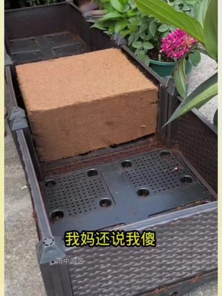#养花专用土壤 #营养土 #椰糠土 #椰砖 #在家种菜