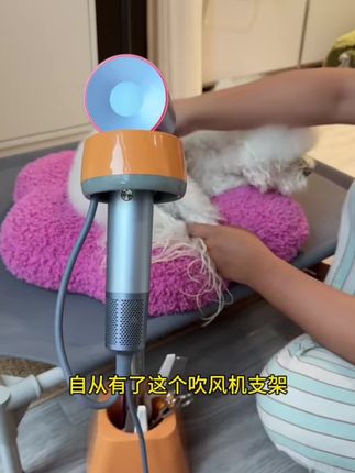 一个人在家也可以轻松吹风拉毛了,适配各种吹风机,180度旋转头拉到哪里吹到哪里,真的太实用了#好物推荐🔥 #提升幸福感好物 #幸福感up的家居神器