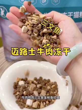 #猫粮