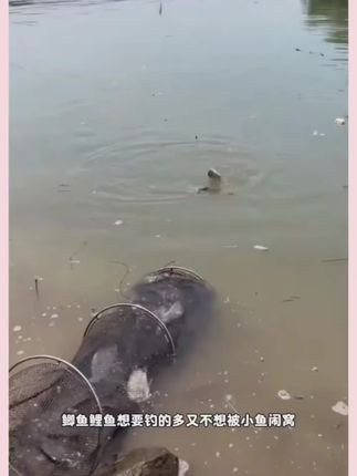 #钓鱼人就是这么疯狂