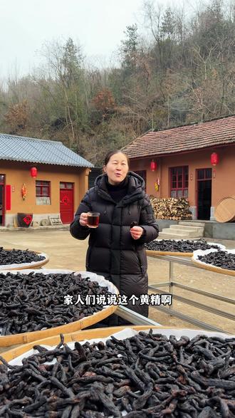 伏牛山上限定的珍宝黄精,来在大自然的馈赠,你认识吗?#黄精#九蒸九晒黄精 #伏牛山特产 #我的乡村生活