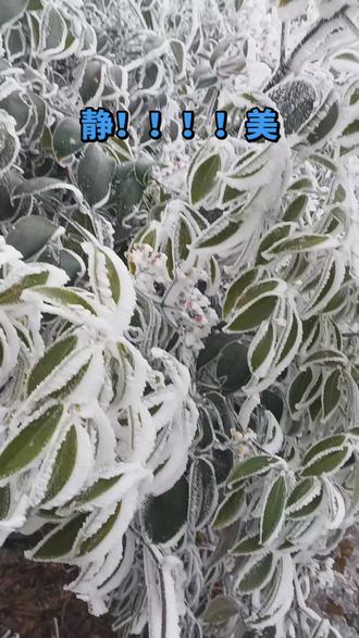 冬天里的山。踏雪寻踪
