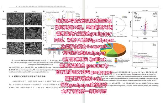 用grad paper半个小时搞定一篇论文初稿#论文 #毕业设计 #论文查重 #大学生 #毕业季 @gradpaper论文助手