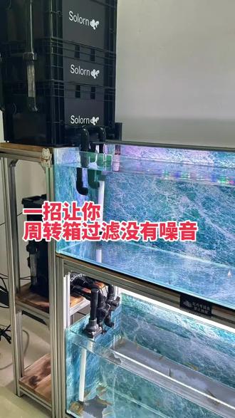 养鱼的周转箱过滤很吵有噪音怎么处理呢?一招就搞定 #养鱼日记 #科普冷知识#好物推荐#萌宠#过滤