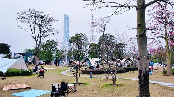 2025年的最后一天,12月31日跨年日,别开车来佛山青年公园啦~#佛山青年公园 #青年公园 #跨年2025倒计时 #佛山露营 #青年公园露营