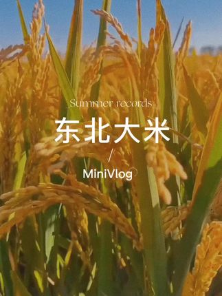 #强烈推荐好物