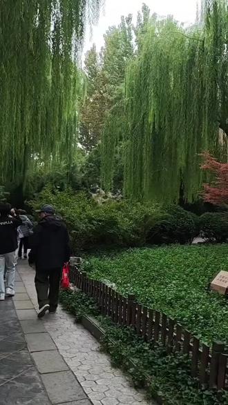 趵突泉位于山东省济南市中心,是泉城济南的象征与标志,趵突泉是古泺水之源,早在《春秋·桓公十八年》就有记载,历史可上溯至商代。北宋曾巩在《齐州二堂记》中正式定名为“趵突泉”,“趵突”表现了泉水喷涌的画面,同时也是象声词,与泉水喷涌声相似。清乾隆十三年,乾隆皇帝南巡品泉后,御封趵突泉为“天下第一泉”。
趵突泉泉池长30米、宽18米,三股水柱自石灰岩溶洞喷涌而出,昼夜不息,最大日涌量可达16.2万立方米,形成“趵突腾空”奇景,位列明清济南八景之首。泉水四季恒定于18℃左右,严冬时节水面雾气氤氲,呈现“云蒸雾润”的幻境,其水质清冽甘醇,可直接饮用。
人文景观
趵突泉畔人文底蕴深厚,泉南大门“趵突泉”蓝底金匾为乾隆御笔,池畔“双御碑”镌刻康熙、乾隆题诗。观澜亭始建于1461年,苏轼曾在此插花赋诗。李清照纪念堂临漱玉泉而建,郭沫若题联“漱玉集中金石录里文采有后主遗风”,将词魂与泉韵相连。
公园概况
趵突泉公园于1956年建成开放,历经扩建,面积达105000平方米。园内除趵突泉外,还有漱玉泉、金线泉、柳絮泉等名泉,以及李清照纪念堂、王雪涛纪念馆、李苦禅纪念馆等名胜古迹。2013年,趵突泉公园所在的“天下第一泉景区”被评定为国家AAAAA级旅游景区。