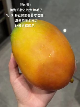 芒果脑袋快冲!5斤凯特芒果鲜到爆!! 个大饱满,皮薄肉厚,软糯香甜超满足! 这实惠谁能拒绝啊!!!喜欢吃芒果的姐妹千万别错过!#凯特芒果 #新鲜采摘 #软糯香甜 #快来一起尝个鲜 #应季水果