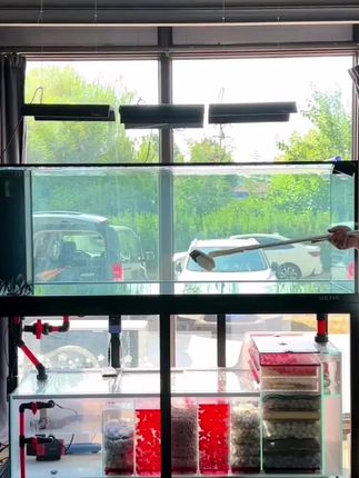 大鱼缸鱼缸刷、适合于大缸深缸、清洁方便~#观赏鱼 #水族 #鱼缸维护 #养鱼养心 #好物推荐🔥