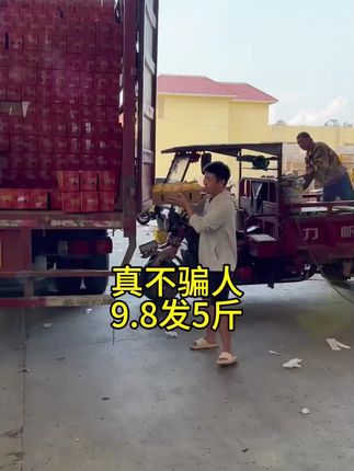 芒果
