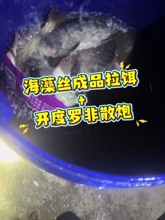 罗非饵料,解冻直接使用。 今天钓的收费100的休闲塘,上了罗非,鲫鱼,鲤鱼,草鱼,一起48斤。用的海藻丝成品拉饵+开度罗非散炮 #罗非饵料 #户外钓鱼