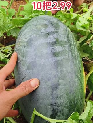 #老式铁皮小刀 #美工刀 #壁纸刀 #铅笔刀 #超便宜超划算