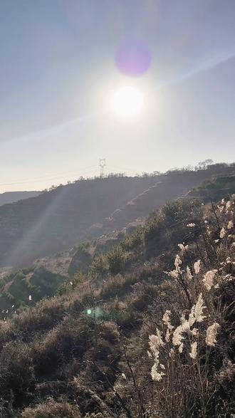 吴雄志《金针赋》#山河无恙人间皆安