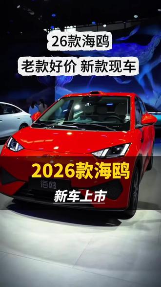 2026款海鸥 家用代步神车比亚迪海鸥新升级!激光雷达可选装!#闪充太快怎么办 #鸥皇驾到 #比亚迪海鸥 #比亚迪