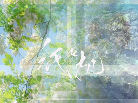 “纸飞机的十二种折法”#纸飞机 #潭石