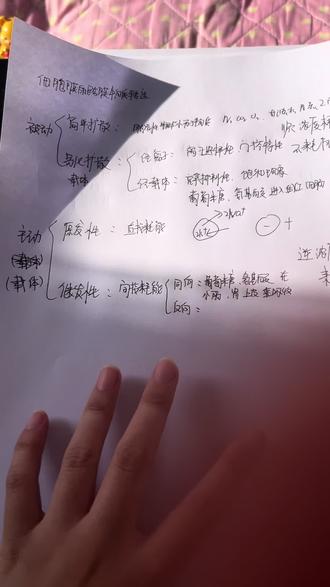 学习生理学的时候,突发奇想的想录一个视频。也是为了自己能够更好的理解。希望对大家也有些帮助吧!@抖音小助手 #医学生 #医学生懂医学生 #生理学基础 #期末考试周