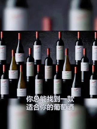 奔富,奔向富裕,寓意真好,路过的老板还不快来挑一款试试?#红酒 #葡萄酒 #干红 #干红葡萄酒 #红酒推荐