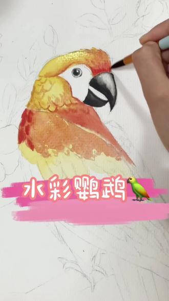 备课之水彩教程—鹦鹉绘画过程#备课 #水彩 #绘画 #少儿美术