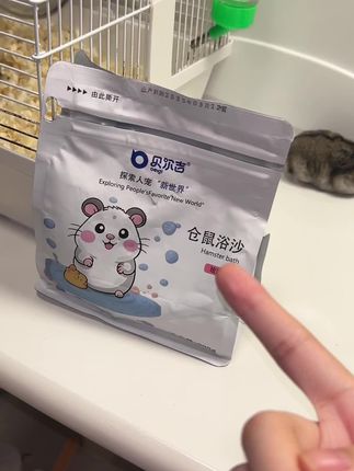 穷养仓鼠的姐妹们,浴沙福利来啦#仓鼠浴沙 #贝尔吉 #养鼠日常分享 #萌宠 #鼠鼠洗澡