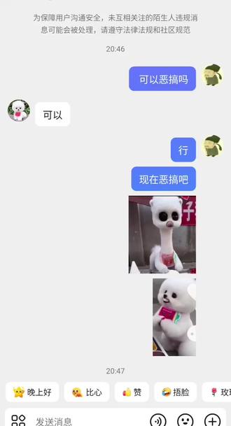 杯子犬很诡异 你知道吗