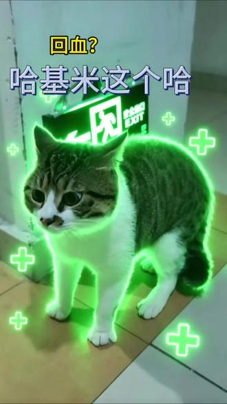 哈基米嚼口香糖回血#哈基米 #口香糖 #孙笑川 #爱猫tv #坏猫