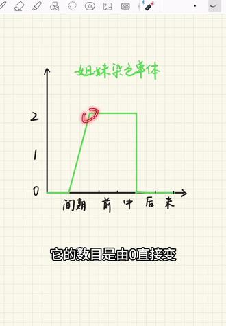 我发现学生物一定要搞懂底层逻辑!#学习#高中生 #有丝分裂 #资料