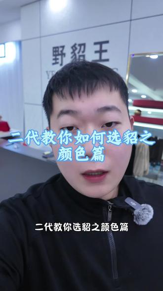 二代教你选貂之颜色篇#貂皮