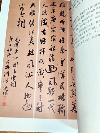 【从临摹到创作】作品创作教程/楷书/行书/小楷/隶书(六册)#临摹 #书法创作 #毛笔 #文化艺术 #书法作品