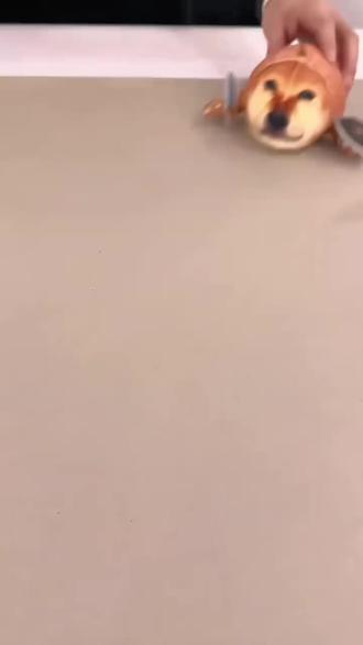 全网爆火的“我的刀盾”同款玩偶来了!
造型呆萌又好笑
按压可发声,快艾特你的列表第一给你买
已经有手快的姐妹晒单了,手慢无👇
#我的刀盾 #狗玩偶 #抖音爆款 #萌宠周边 #魔性玩具