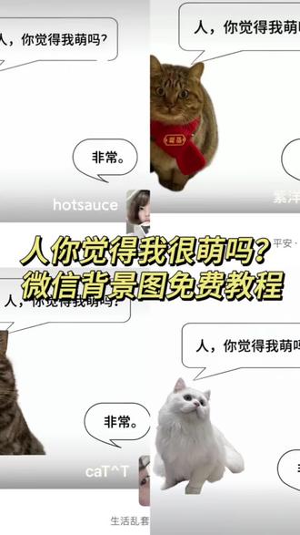 终于!!!学会了这么萌的微信背景图了!!!人你觉得我萌吗微信背景图制作教程来了#醒图 #醒图创作者 #微信背景图 #人你觉得我萌吗 #萌物 小狗微信背景图 骏良背景图 人你觉得我萌吗背景制作教程 人你觉得我萌吗背景图怎么做 黄黄萌系朋友圈背景
