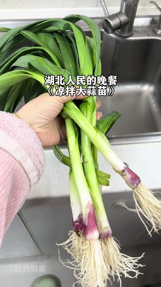 跟江西人学了一道菜,超级无敌好吃,喜欢的赶紧去试试~#凉拌蒜苗丝 #家常菜 #抖音美食创作者 #美食教程 #美食