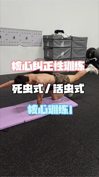 不会发力=白练!死虫子+活虫子,真正练
对深层核心
#核心 #核心训练 #死虫子 #活虫子 #健身干货