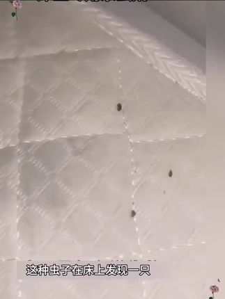 疥虫一喷净环境喷剂家用室内灭疥虫螨虫人用床上除杀疥螨药全窝端#杀虫剂 #杀虫剂 杀虫胶饵#杀虫剂配方#杀虫妙招 #好物推荐🔥