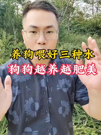 养狗喂对水,轻轻松松养好狗#狗狗驱虫大作战 #狗狗驱虫 #狗驱虫 #狗狗 #养狗经验分享