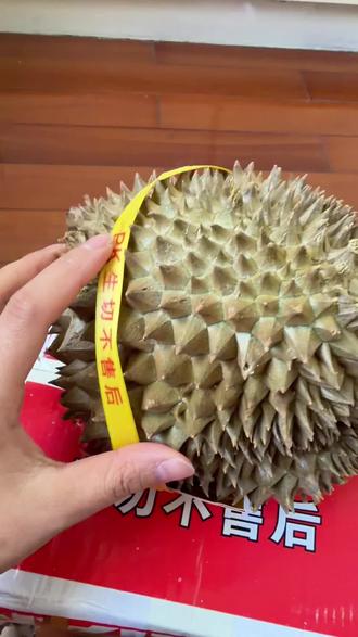 第一次在与辉同行网购榴莲,到底怎么判断它能不能开呀~#与辉同行#本来果坊榴莲 #怎么判断榴莲的生熟 #榴莲