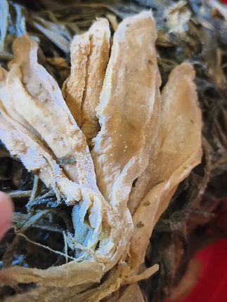 这个月11号后拍的头菜有些不怎么咸的,洗多几次泡水半个小时就可以炒了,这也是看个人口味的,不要煮一次觉得咸就不好吃了,咸了泡久一点,可以放盐一起泡,昨天村里有个人来我家买头菜,她可喜欢吃了,我说叫她买不咸的这些,她说只要好吃脆就行了,其实咸的就泡水久一点就能解决问题了,她还教我跟顾客说,这餐煮咸了放热水泡一会反炒一下,下餐的就泡水久一点,她说只要大头菜口感脆香就行了,她是本地人很会煮的很会吃的#家乡特色 #小时候味道 大头菜