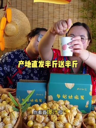 【产地直发半斤送半斤】新鲜果肉饱满灯笼果小金豆爆汁香甜