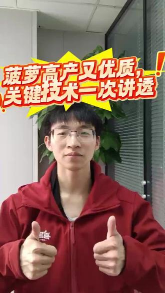 菠萝高产又优质,关键技术一次讲透。#农资 #农资小知识 #种植 #种植小技巧