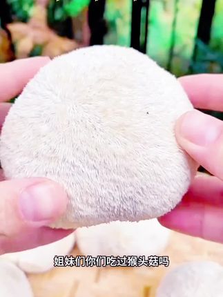 #创作灵感 侯小囡猴头菇脆#强烈推荐 #沛元#快来一起尝个鲜