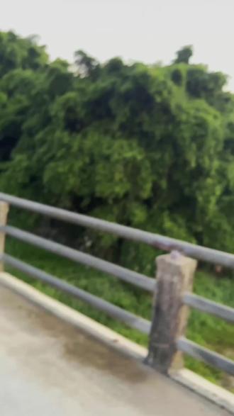 天秤座真的不会谈恋爱!删你联系方式5分钟,忘你却要5年…情绪越稳越不爱?动了心全是疯子!#天秤座 #星座恋爱 #情感共鸣 #爱而不得 #小天秤集合